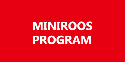 MiniRoos